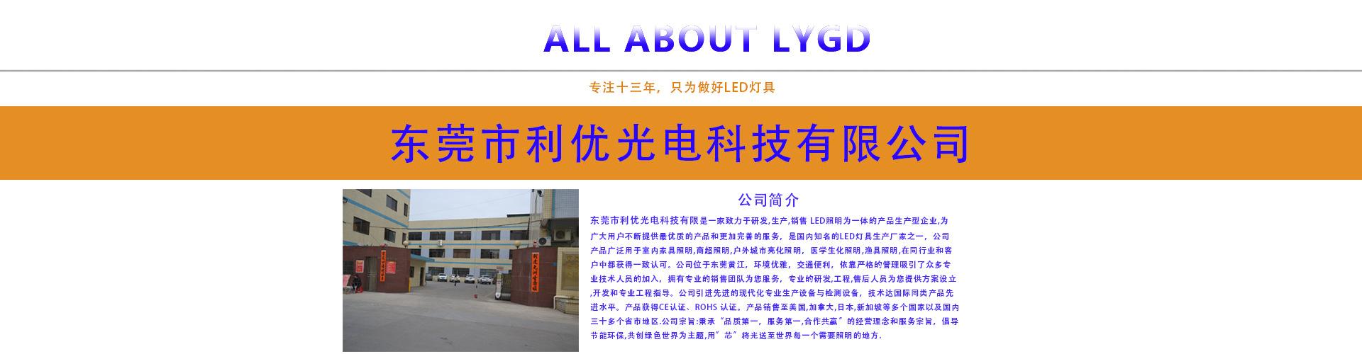 东莞市利优光电科技